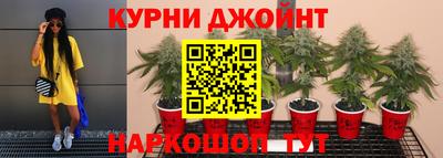 a pvp Будённовск