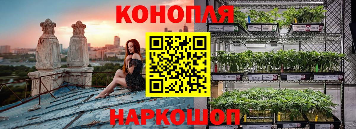 Тутаев  Конопля конопля  Вход с VPN  Каннабис план  Каннабис гибрид  Конопля LSD WEED 